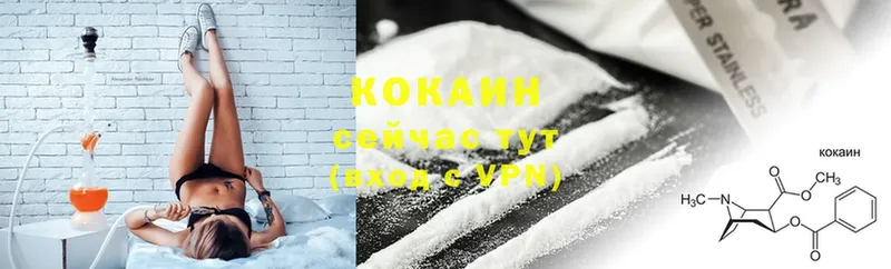 COCAIN Fish Scale  Козьмодемьянск 